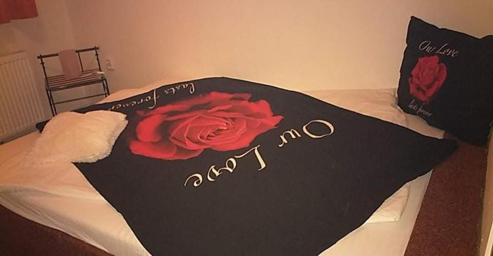 זנוימו Penzion Nicol מראה חיצוני תמונה